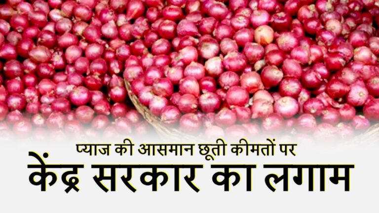 Onion Exports Ban in india