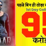 पहले दिन ही तोड़ा सारे रिकॉर्ड 1st Day Collection 95 करोड़.